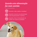 Amordida Alimentação Natural Super Premium Best For Life Cães Adultos