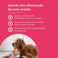 suíno, pato, avestruz, tilápia, cordeiro