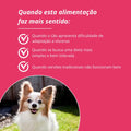 super leve suíno