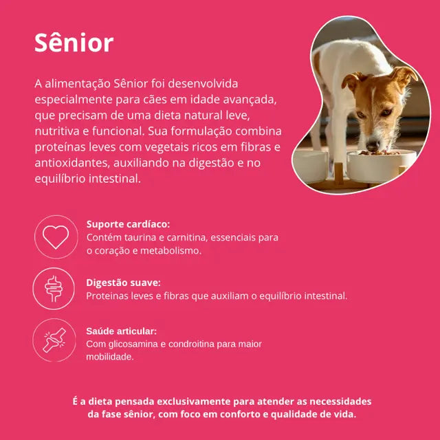 Amordida Alimentação Natural Super Premium Best For Life Cães Sênior