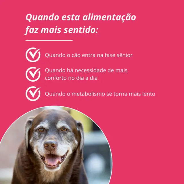 Amordida Alimentação Natural Super Premium Best For Life Cães Sênior