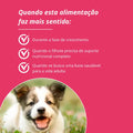Amordida Alimentação Natural Super Premium Best For Life Cães Filhotes