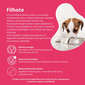 Amordida Alimentação Natural Super Premium Best For Life Cães Filhotes