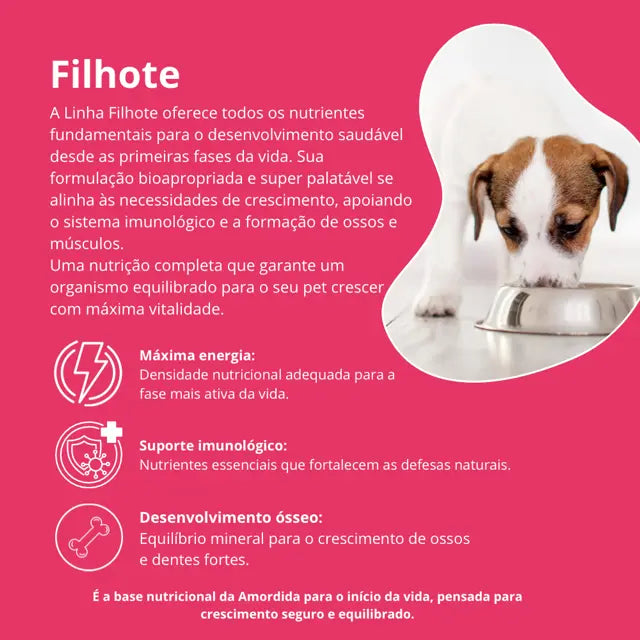 Amordida Alimentação Natural Super Premium Best For Life Cães Filhotes