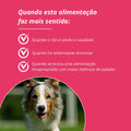 Amordida Alimentação Natural Super Premium Super Paladar Cães Adultos e Sênior